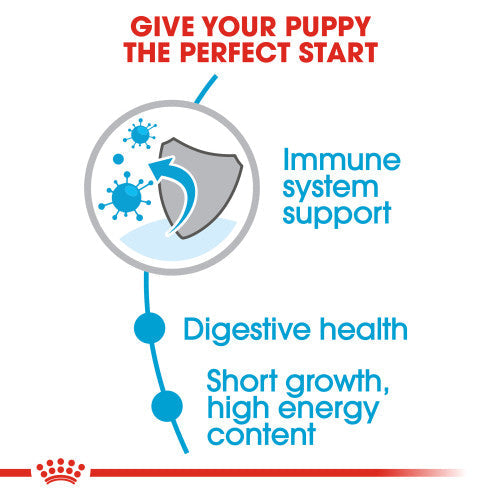 Royal Canin Medium Puppy Dry Dog Food Online